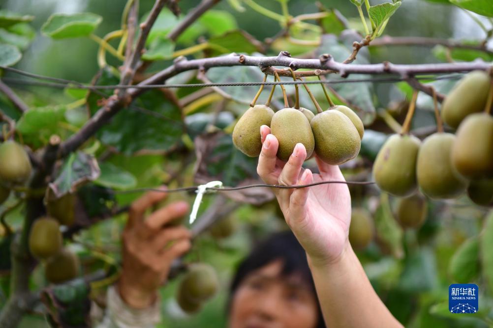 澳门威利斯游戏网站